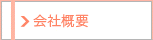 ЊTv